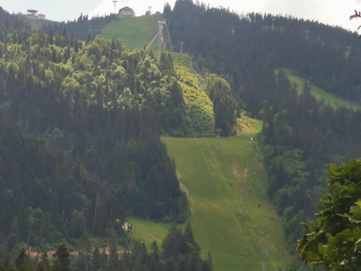 Pension Condor Poiana Brasov Exterior foto