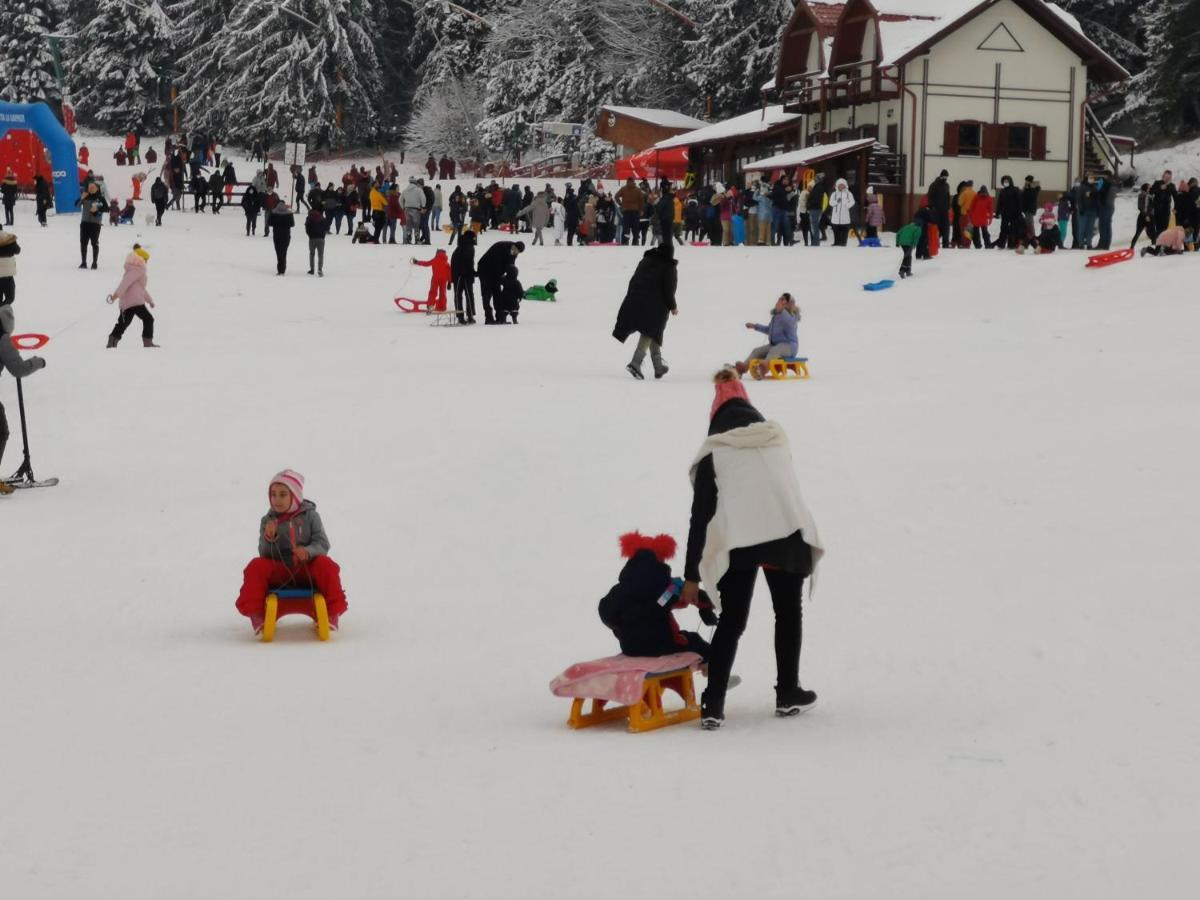 Pension Condor Poiana Brasov Exterior foto