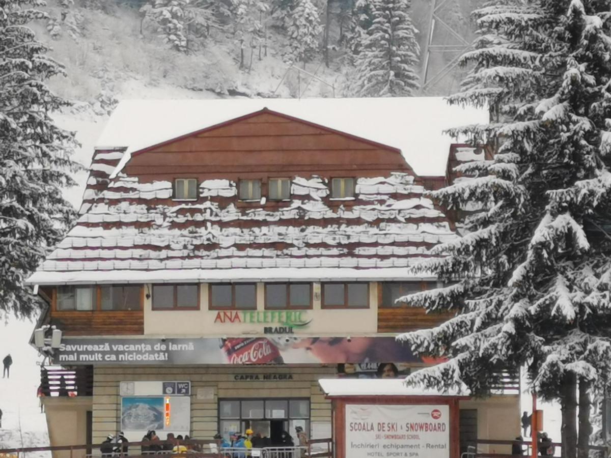 Pension Condor Poiana Brasov Exterior foto