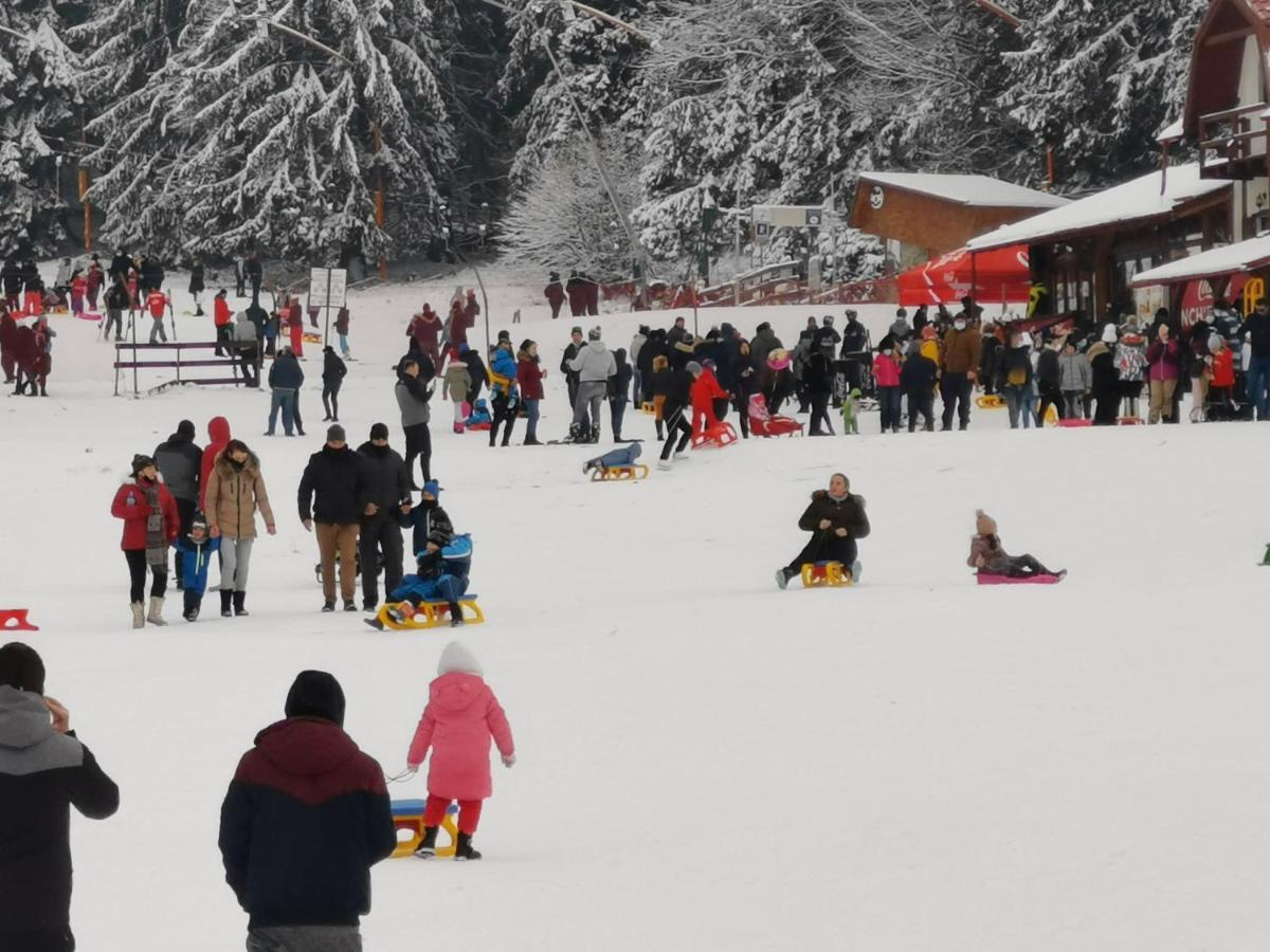 Pension Condor Poiana Brasov Exterior foto