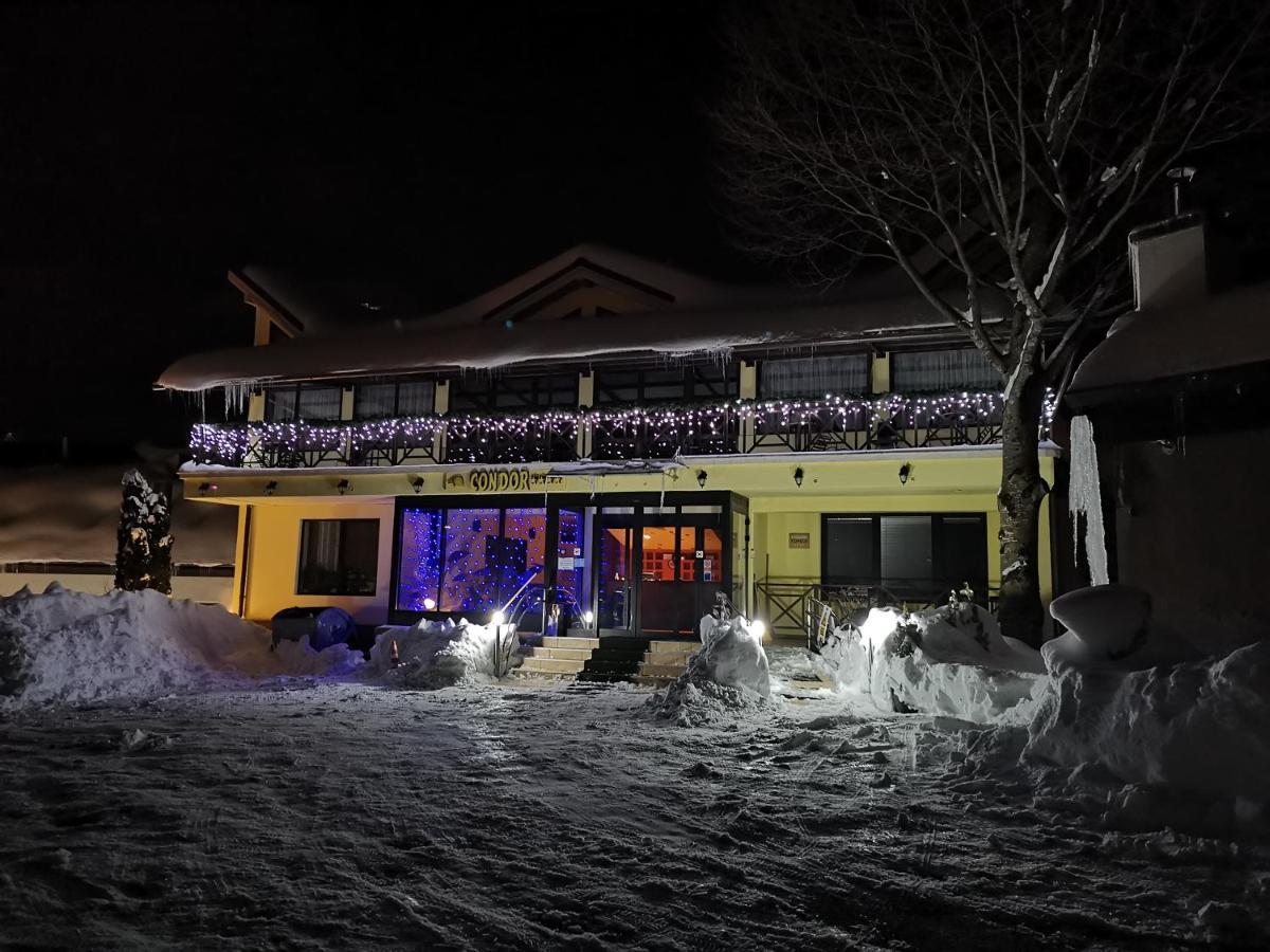 Pension Condor Poiana Brasov Exterior foto