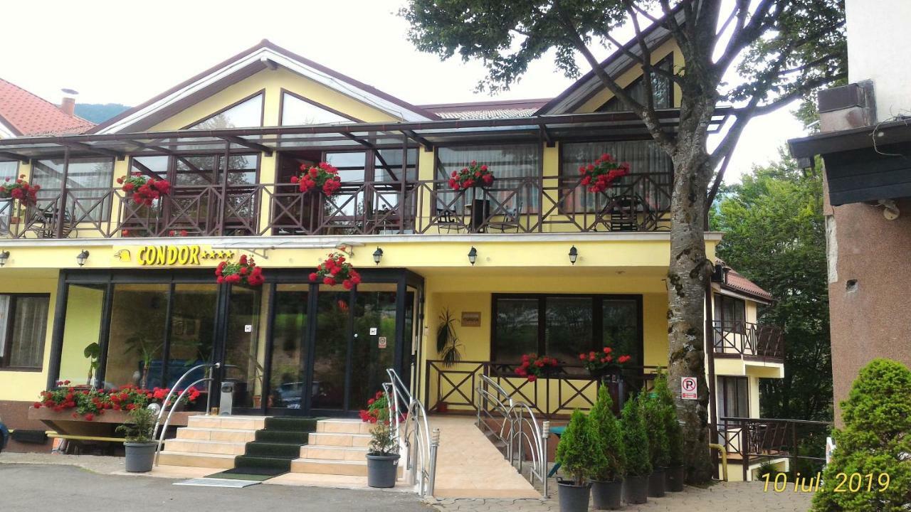 Pension Condor Poiana Brasov Exterior foto