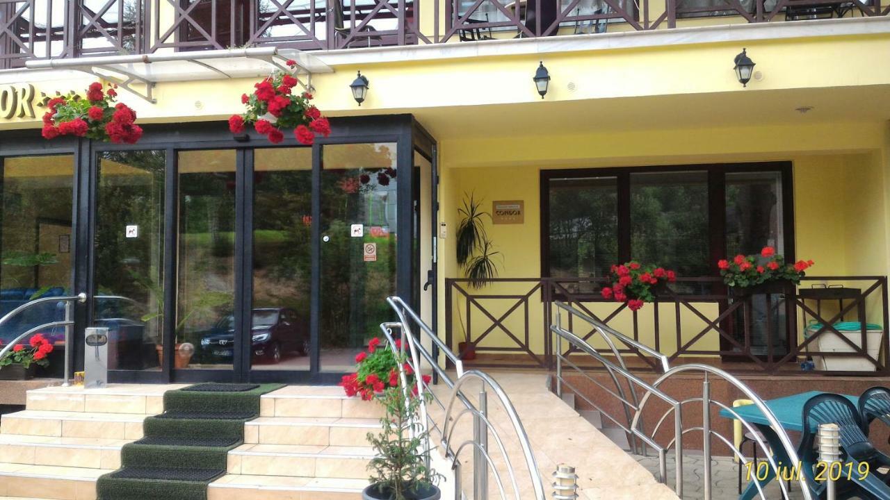 Pension Condor Poiana Brasov Exterior foto