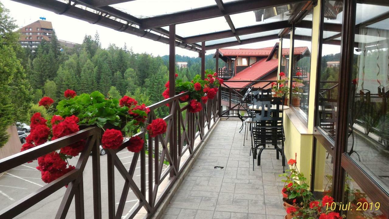 Pension Condor Poiana Brasov Exterior foto